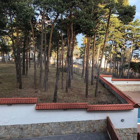 Апартамент "Forest View" В Комплекс "Вели Хилс" 벨린그래드 외부 사진