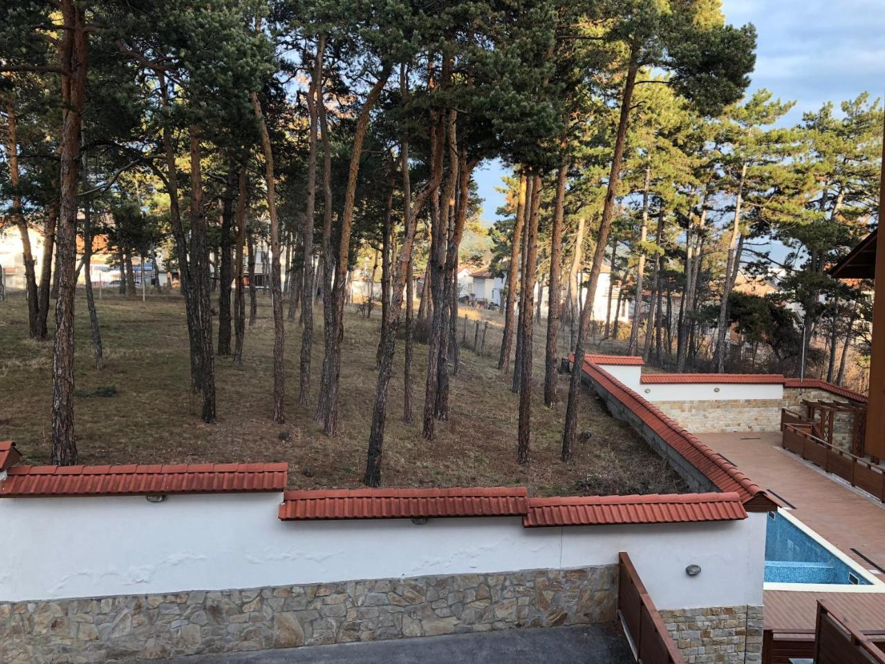 Апартамент "Forest View" В Комплекс "Вели Хилс" 벨린그래드 외부 사진
